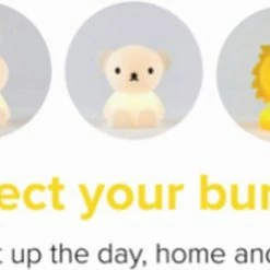 Mr Maria Nijntje Mini-lampjes - Leeuw Bundle Of Light - 13 Cm - LED Lamp - Geel -Baby's Only 550x329