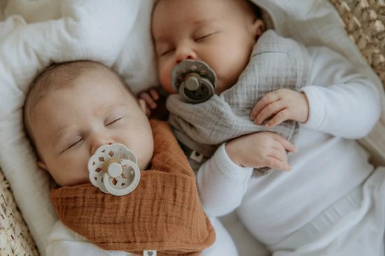 Bibs Fopspeen - Maat 1 0-6 Maanden - 1 Stuk - Boheme Ivory 6 Bibs Fopspeen - Maat 1 0-6 Maanden - 1 Stuk - Boheme Ivory - Afbeelding 6