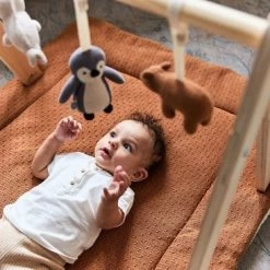 Jollein Babygym Speeltjes - Polar - 4 Stuks -Baby's Only 550x366 206