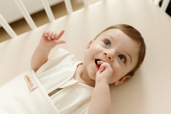 Puckababy Babyslaapzak Bag 4 Seasons 6m-2,5 J - 100 Cm - Pure 10 Puckababy Babyslaapzak Bag 4 Seasons 6m-2,5 J - 100 Cm - Pure - Afbeelding 10