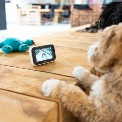 Alecto DVM-143 - Babyfoon Met Camera - Temperatuurweergave - Wit -Baby's Only 550x366 99