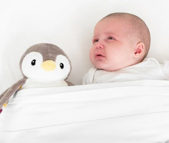 ZAZU - Baby Sleep Susher Pinguin - Phoebe - Slaaptrainers 4 ZAZU - Baby Sleep Susher Pinguin - Phoebe - Slaaptrainers - Afbeelding 4