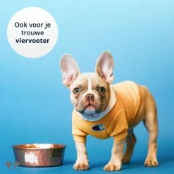 V.P. Babyfoon Met Camera En App - Infrarood - Bewegingssensor - Huisdiercamera - Hondencamera - Beveiligingscamera - Wifi -Baby's Only 550x548 10