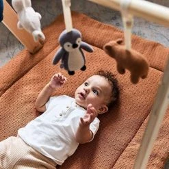 Jollein Babygym Speeltjes - Polar - 4 Stuks -Baby's Only 550x550 851