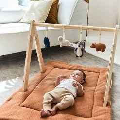 Jollein Babygym Speeltjes - Polar - 4 Stuks -Baby's Only 550x550 855